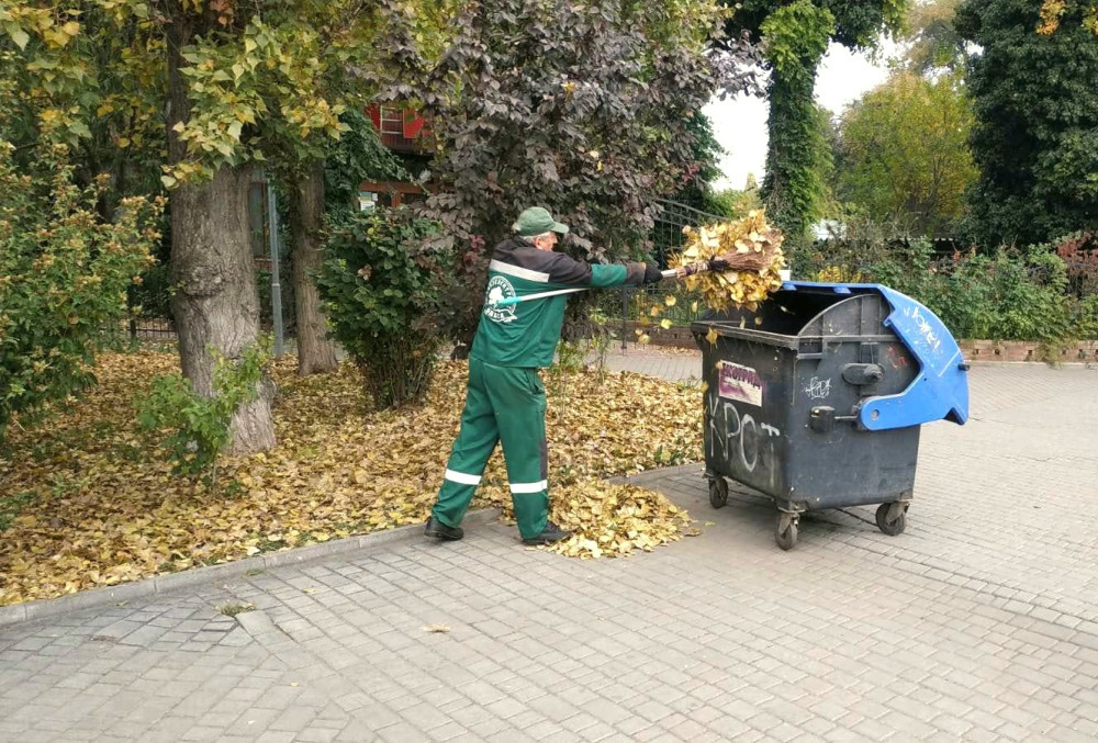 1105 image for slide