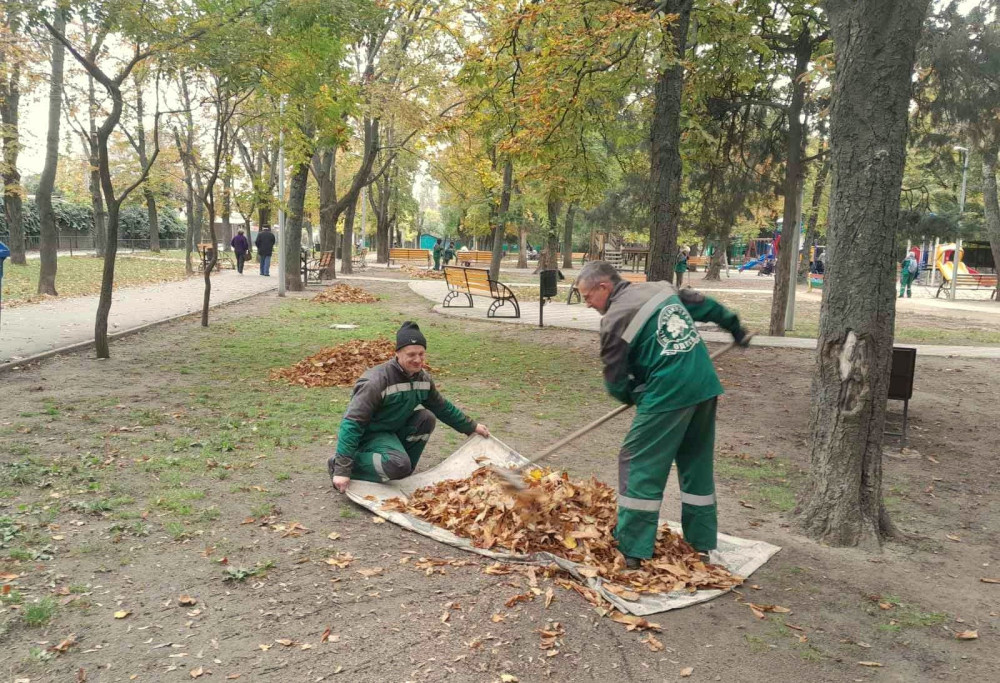 1107 image for slide