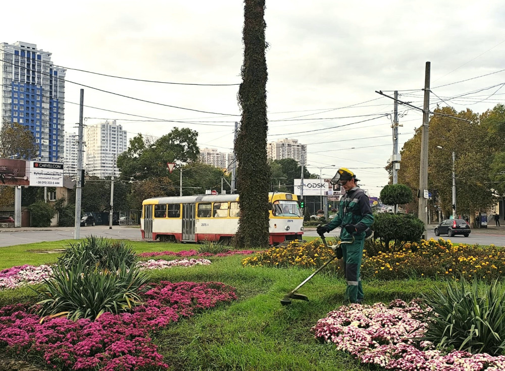 1113 image for slide