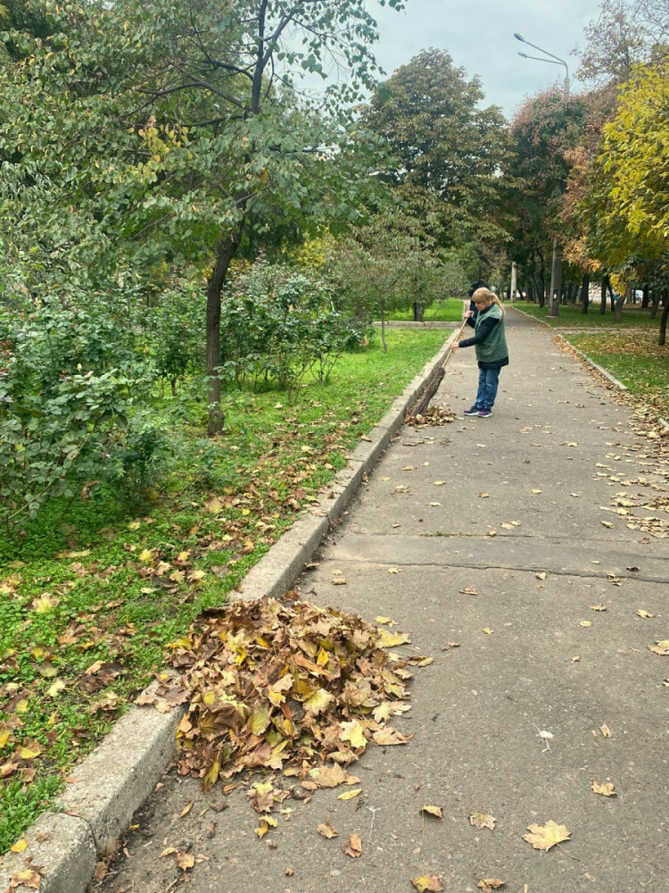 1115 image for slide