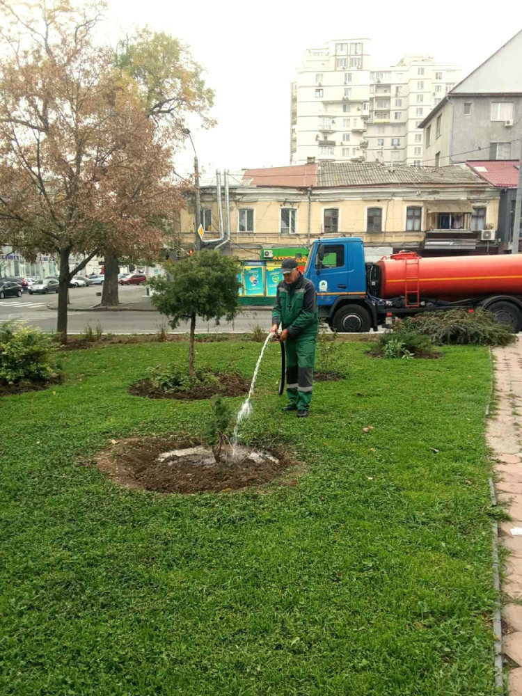 1116 image for slide