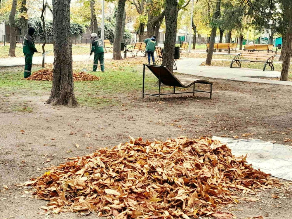 1118 image for slide