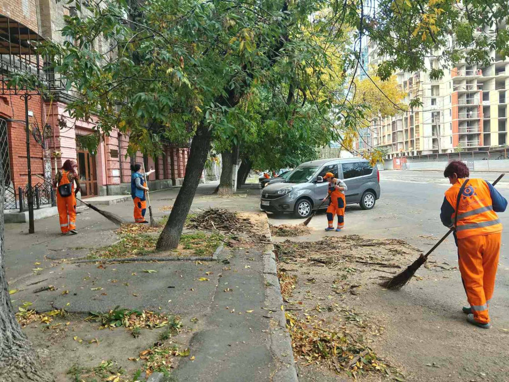 1153 image for slide