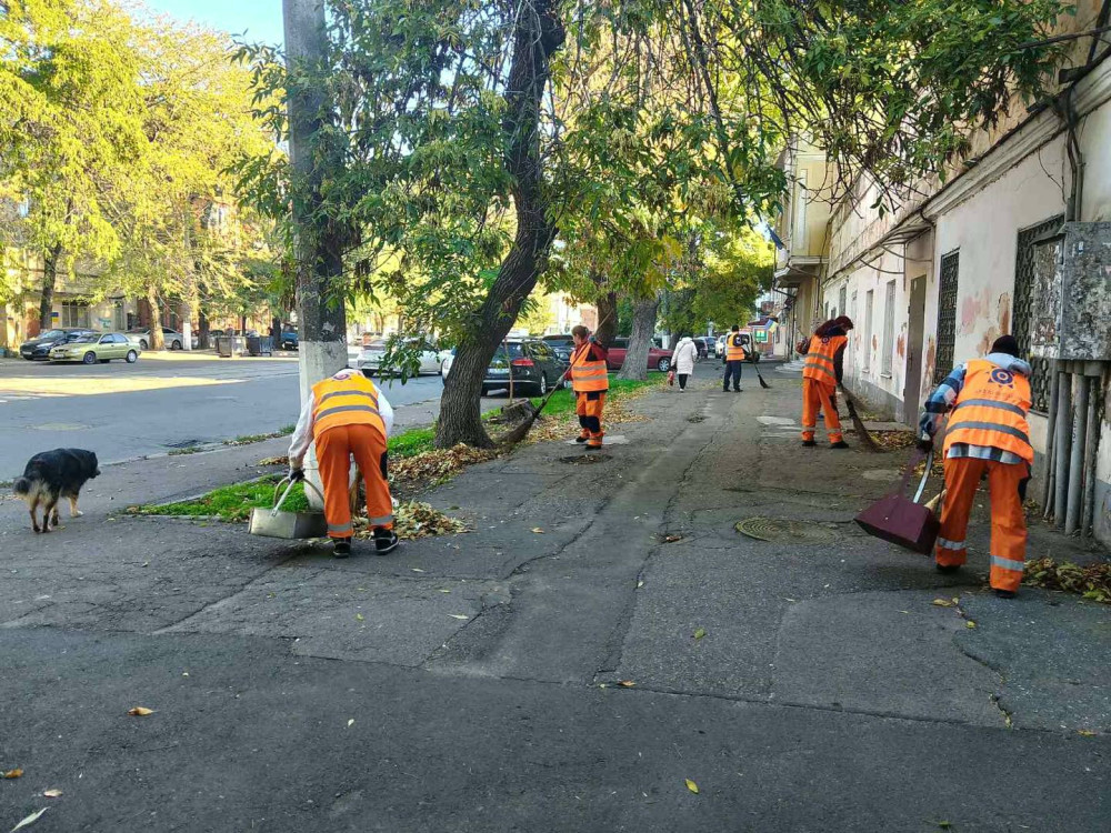 1161 image for slide