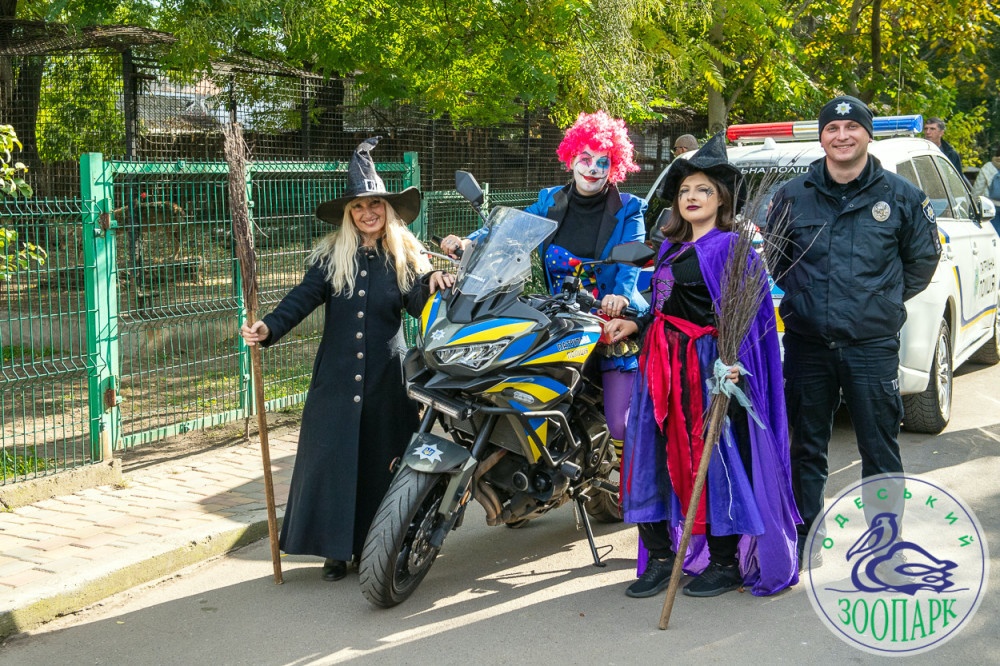 2368 image for slide