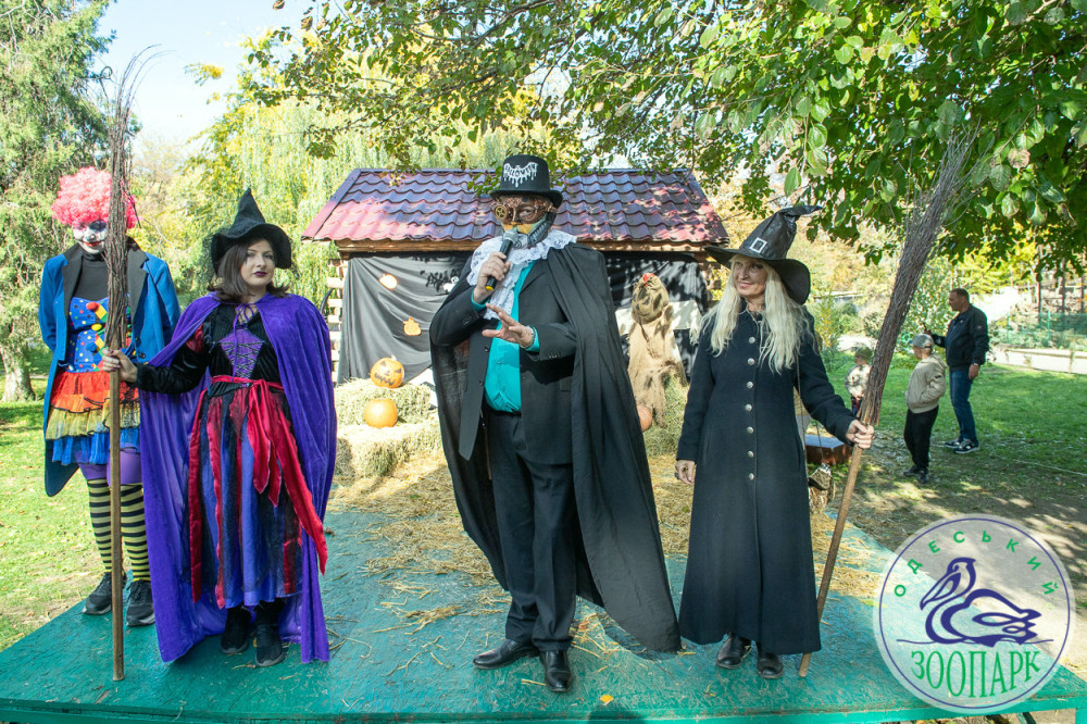 2381 image for slide