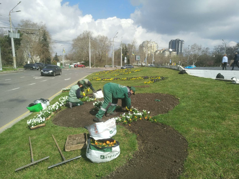 3038 image for slide