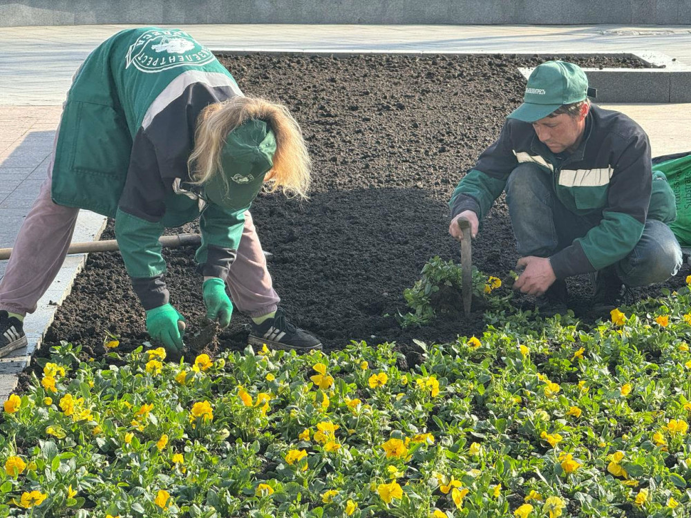 3040 image for slide