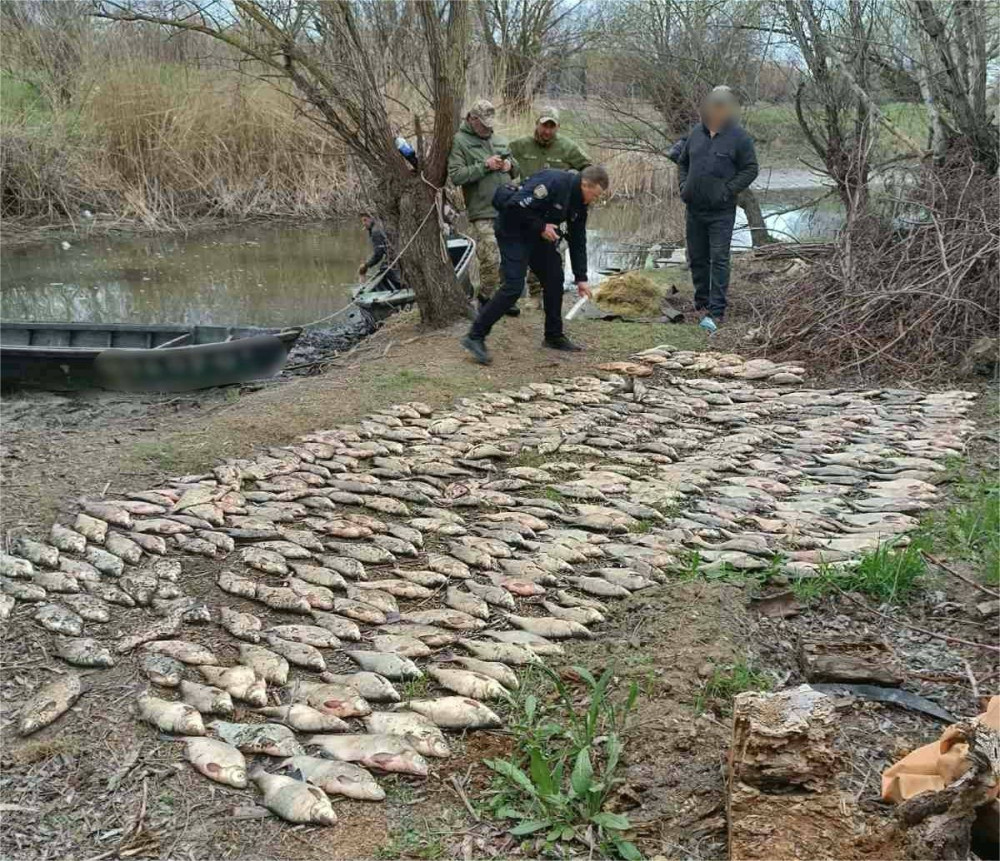 3053 image for slide