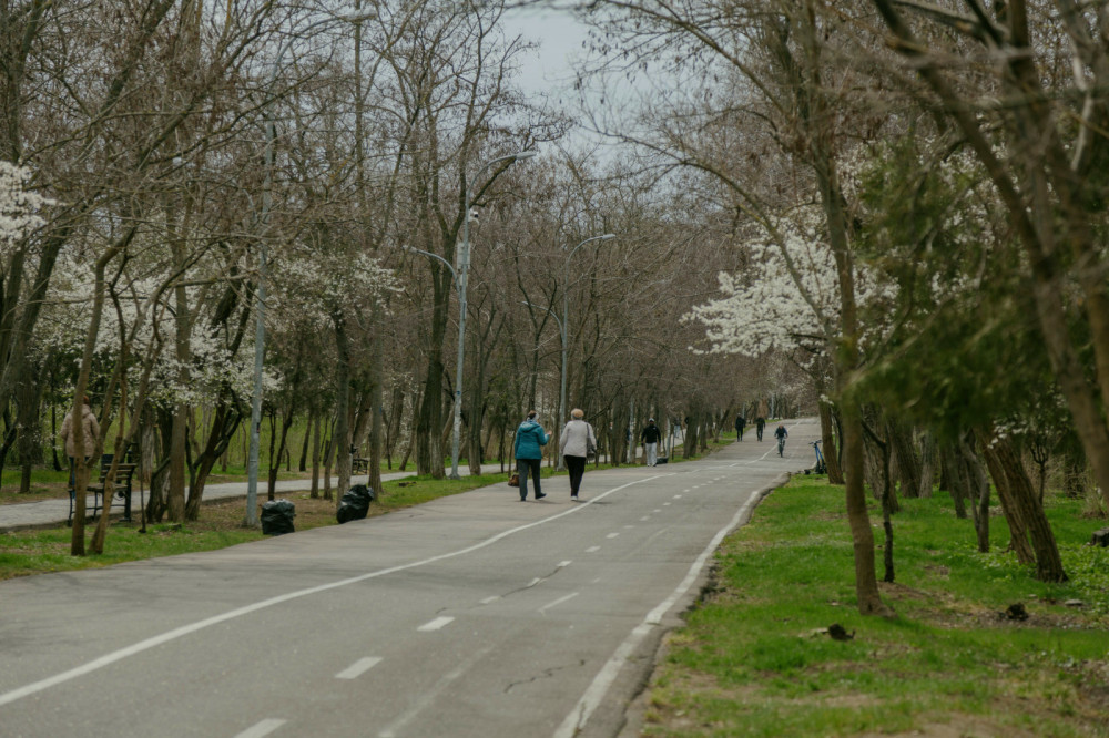 3080 image for slide