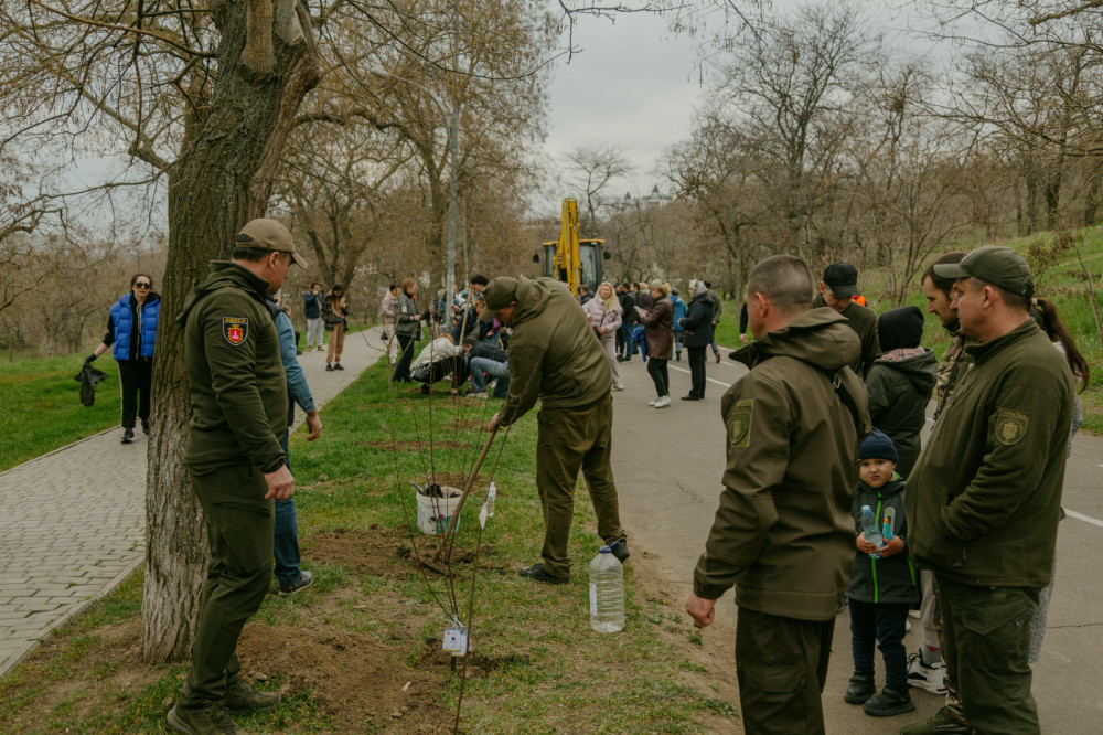 3082 image for slide