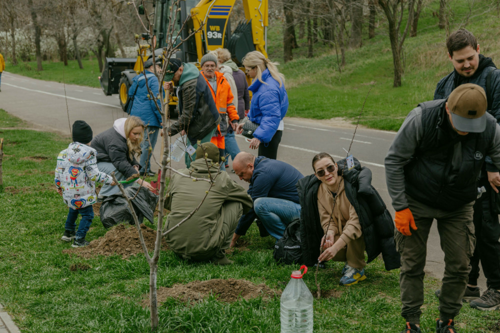 3083 image for slide