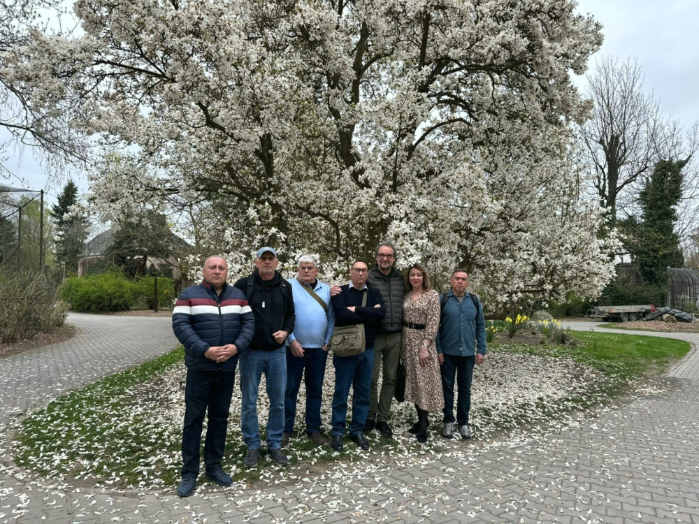 3481 image for slide