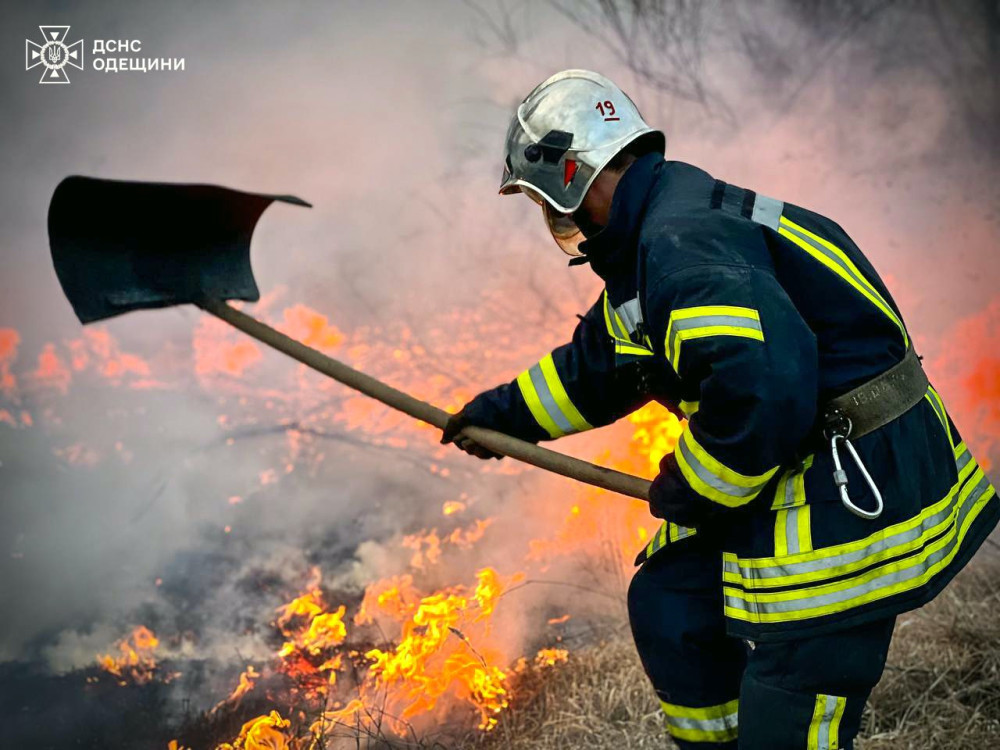 3489 image for slide