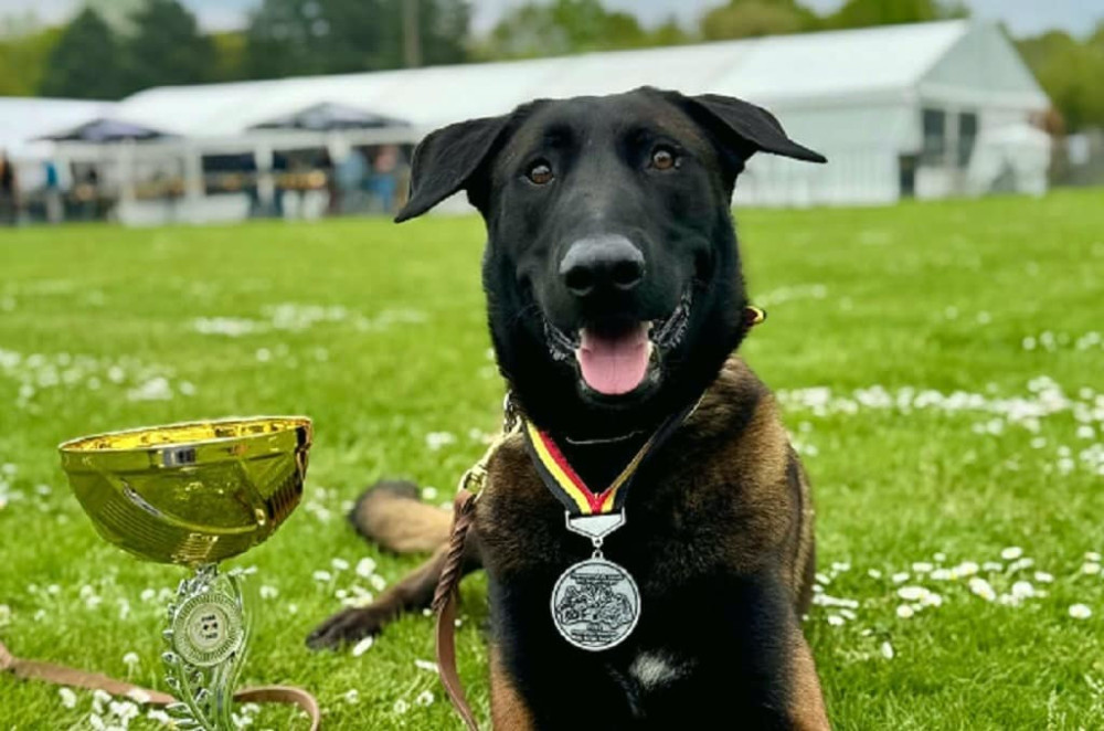 3524 image for slide