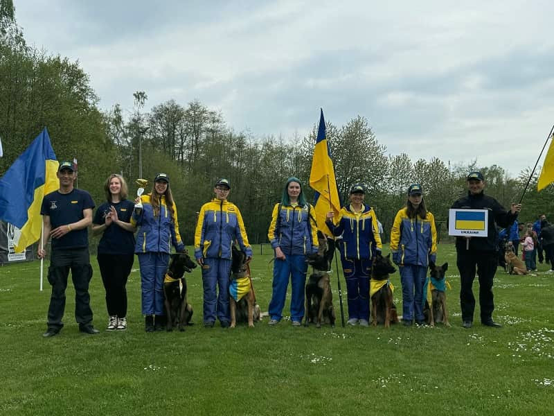 3525 image for slide