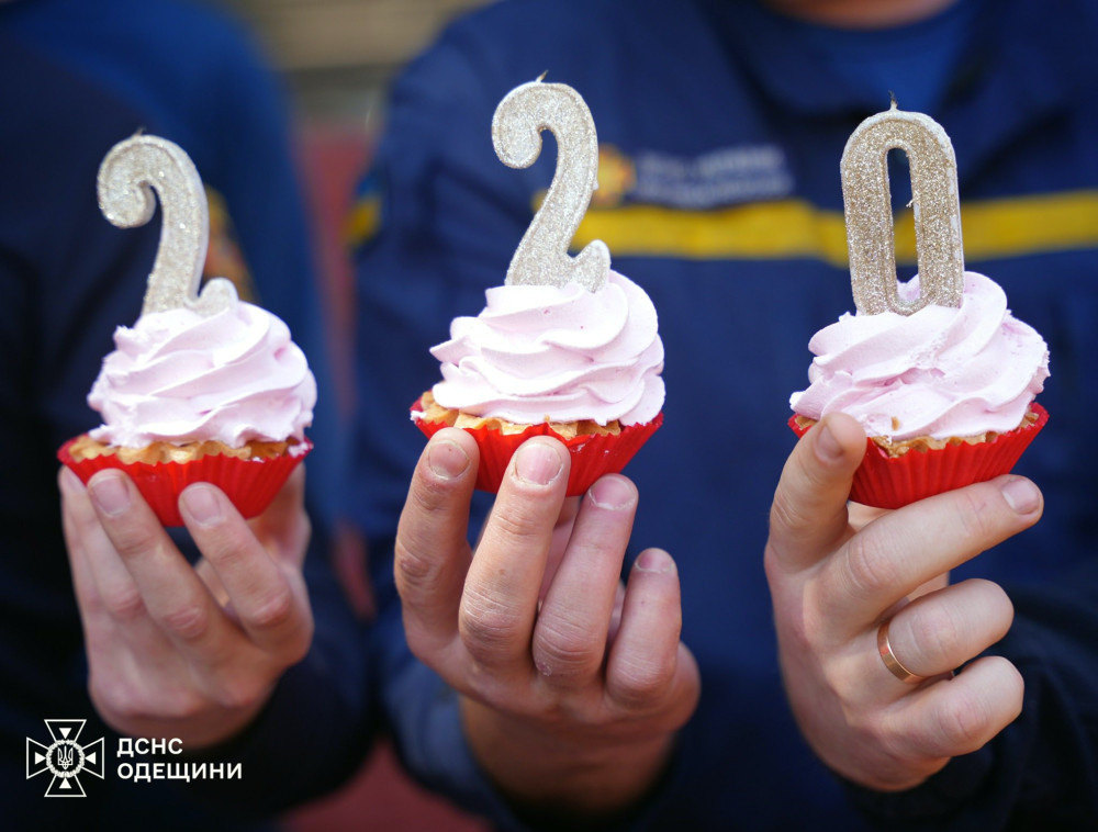 3533 image for slide