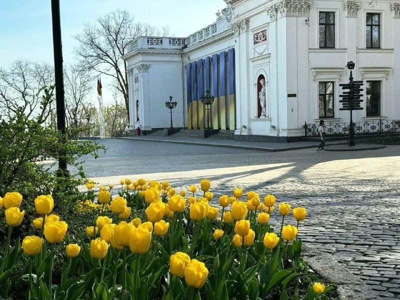 3643 image for slide