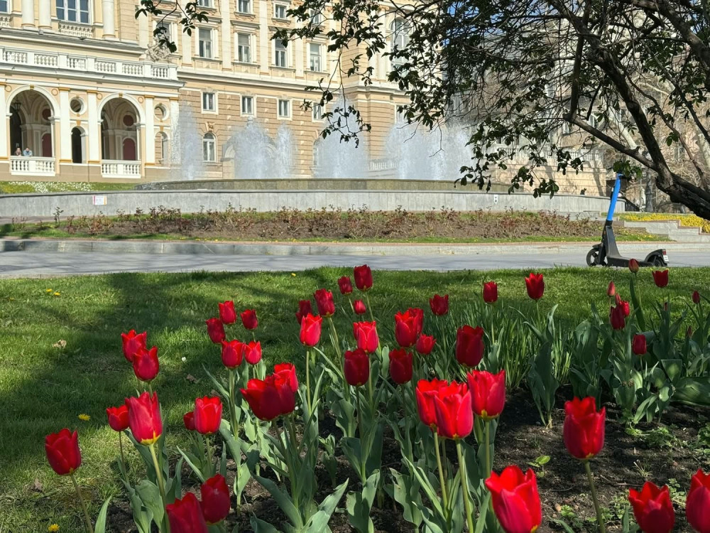 3644 image for slide