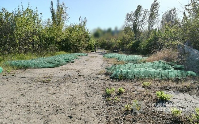 3674 image for slide