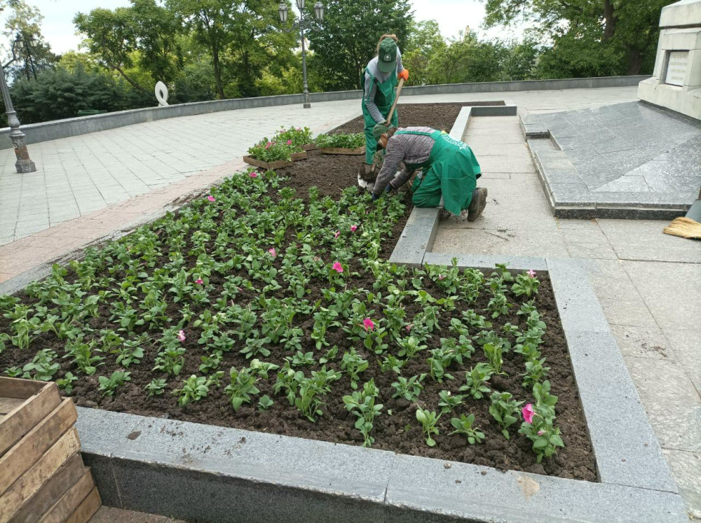 4031 image for slide