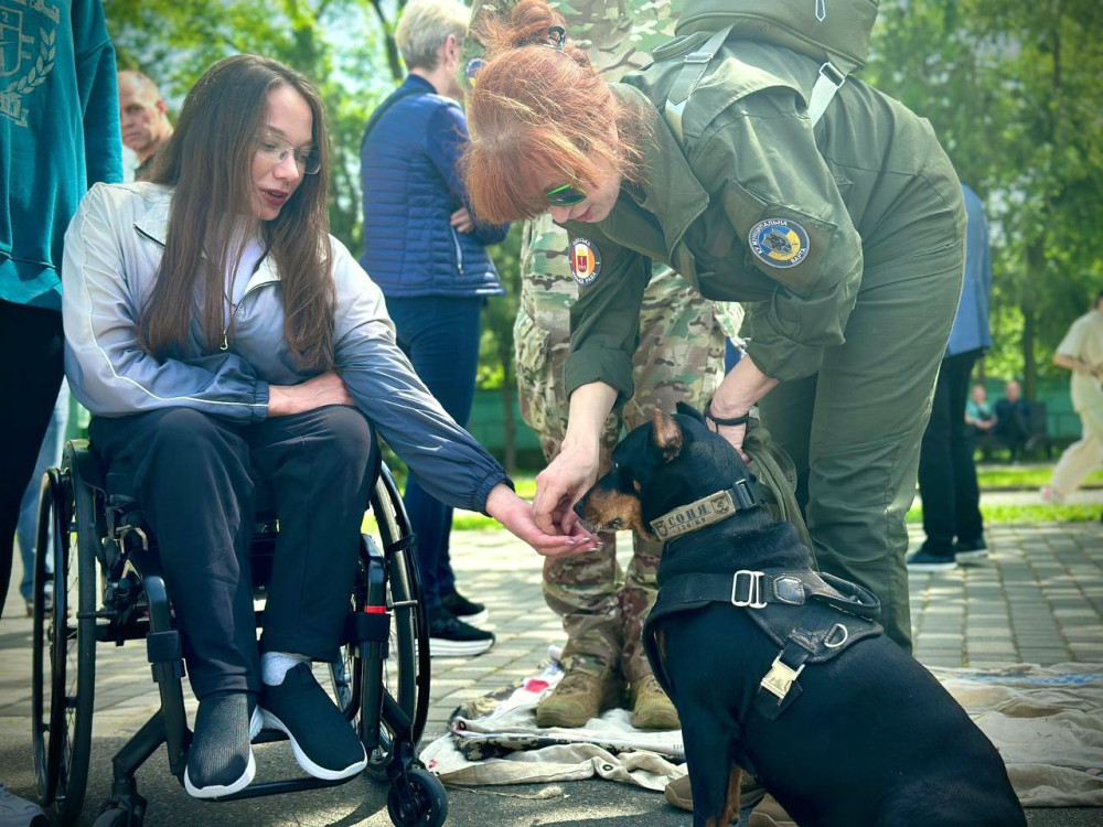 4102 image for slide