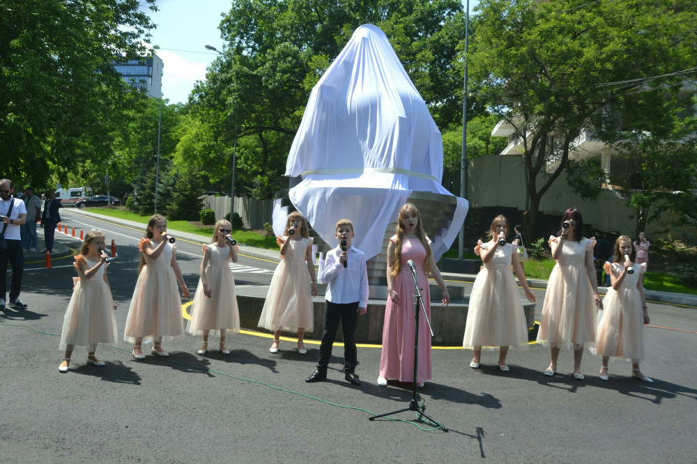 4333 image for slide