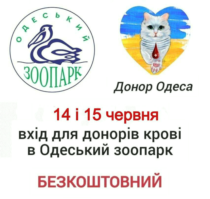 4675 image for slide