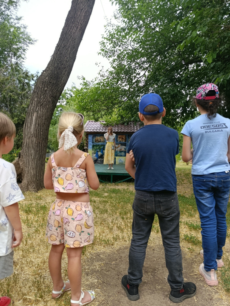 5177 image for slide