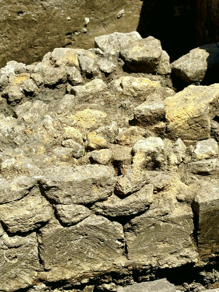 5487 image for slide