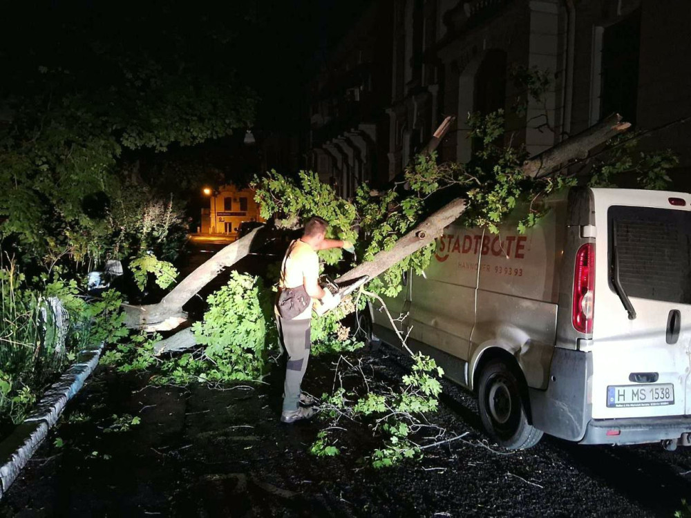 5539 image for slide