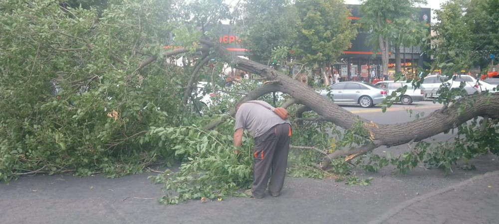 5541 image for slide