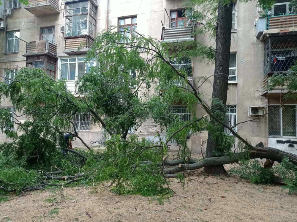 5542 image for slide