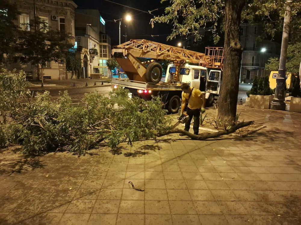 5543 image for slide