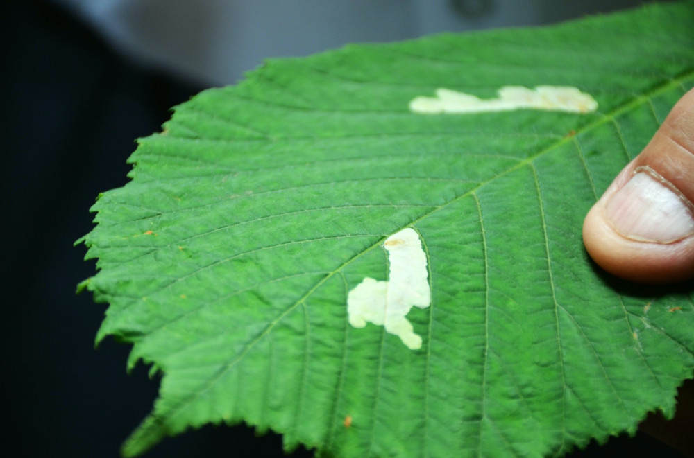 6007 image for slide