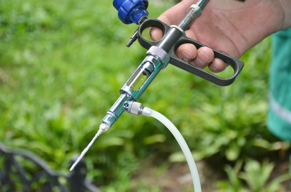 6008 image for slide