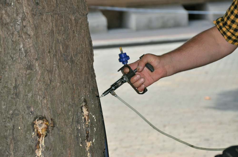 6009 image for slide