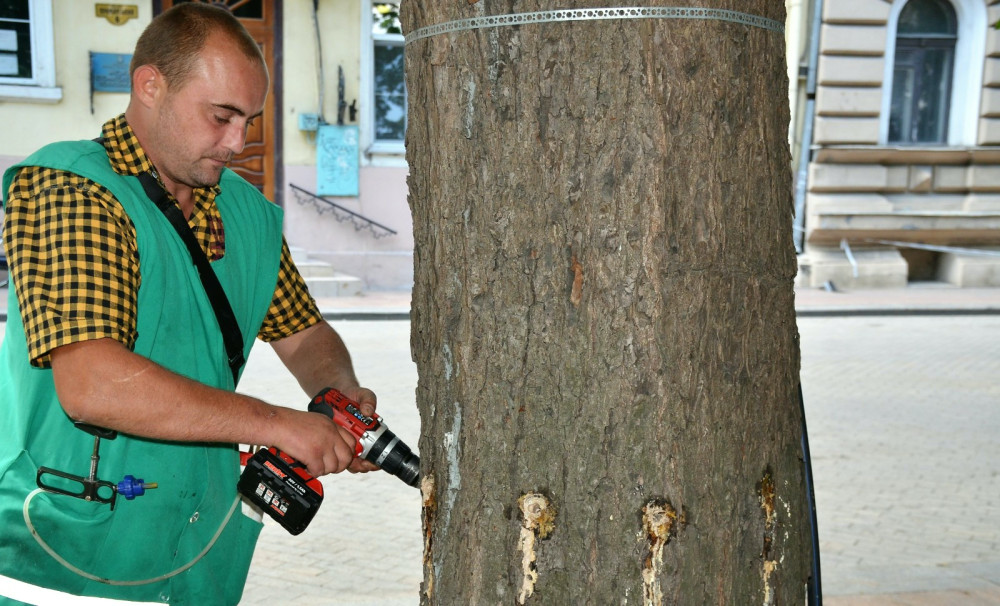 6011 image for slide