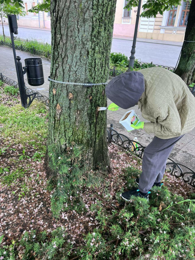 6012 image for slide