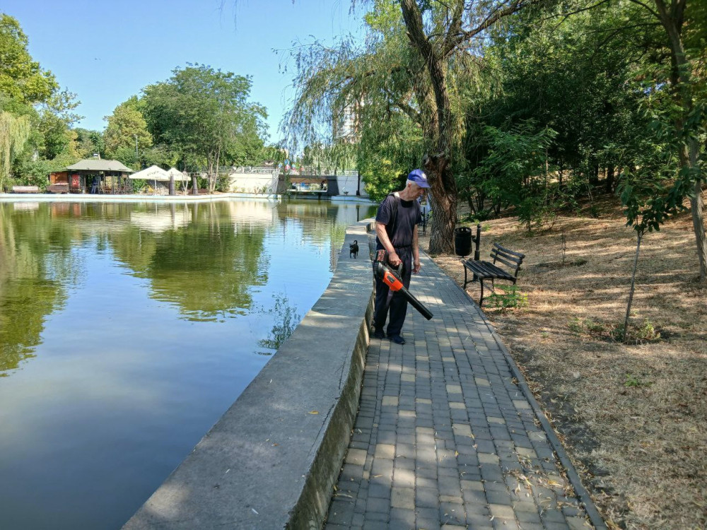 6034 image for slide