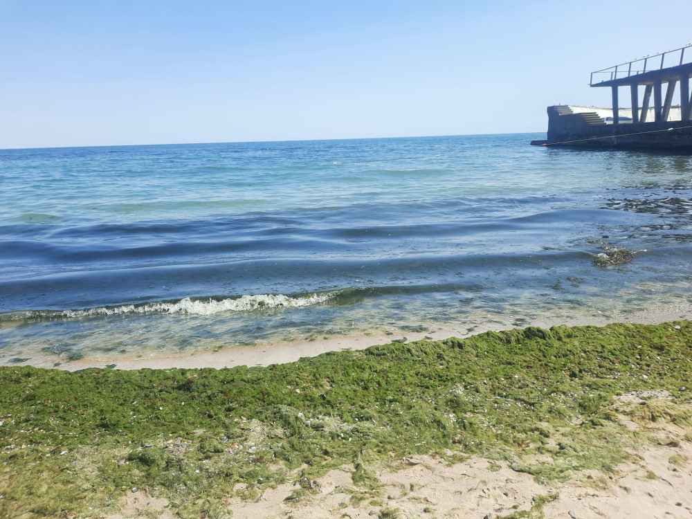 6062 image for slide