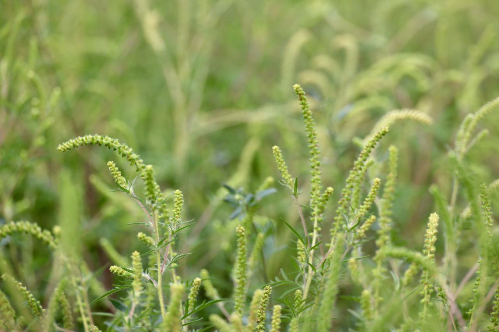 6159 image for slide