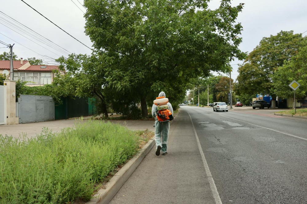 6162 image for slide