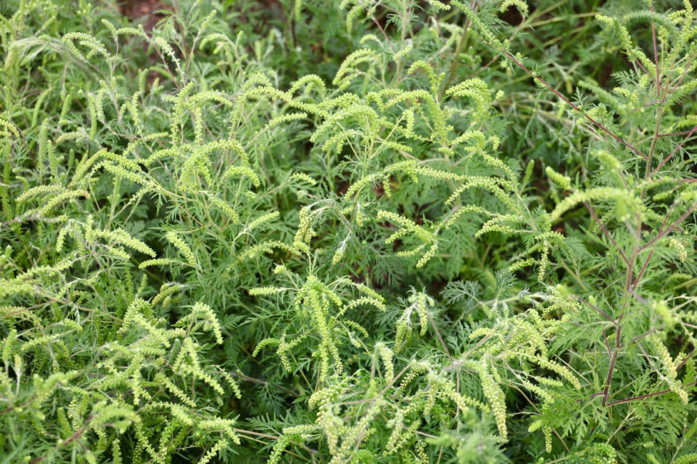 6163 image for slide