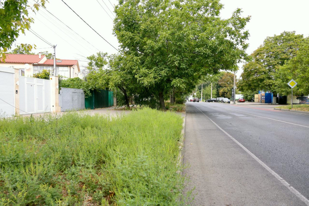 6164 image for slide