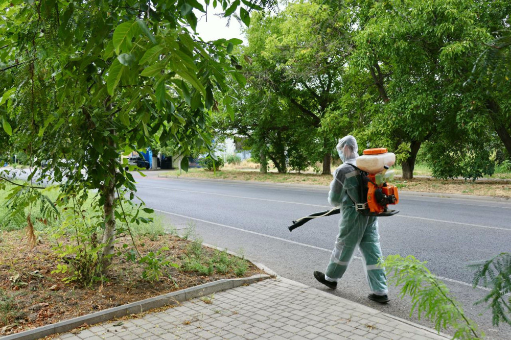 6165 image for slide