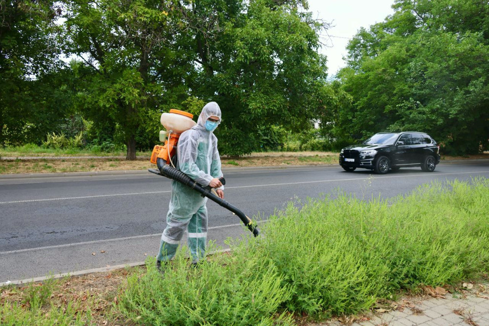 6166 image for slide