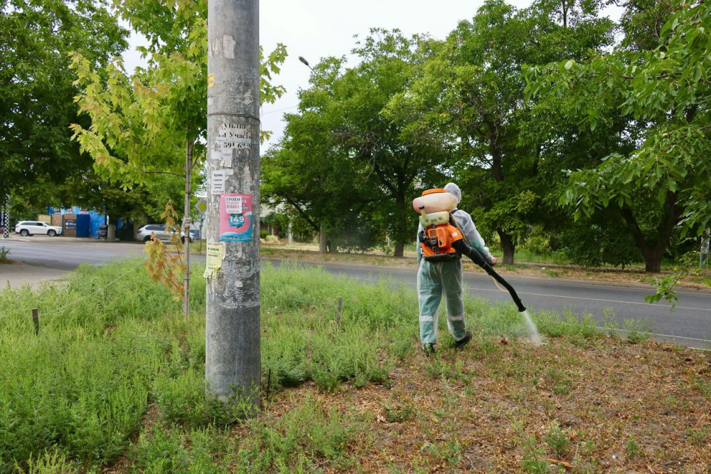 6167 image for slide