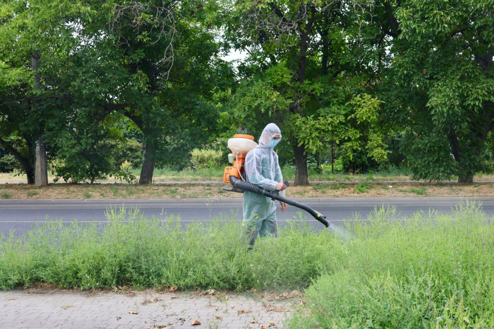 6169 image for slide