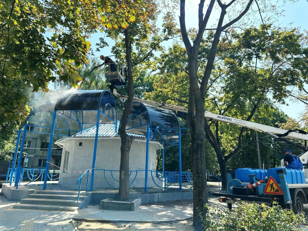 6561 image for slide